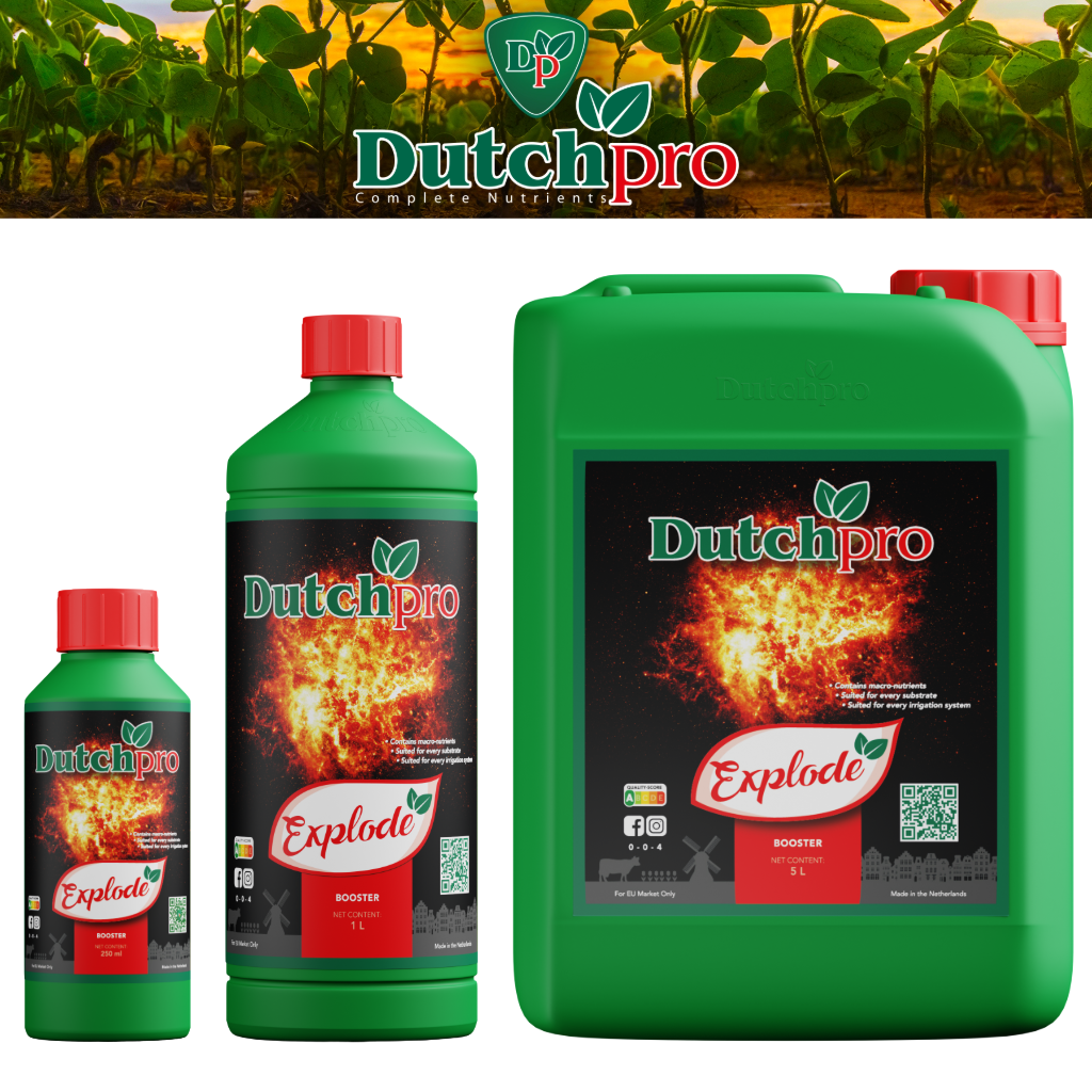 DutchPro Explode