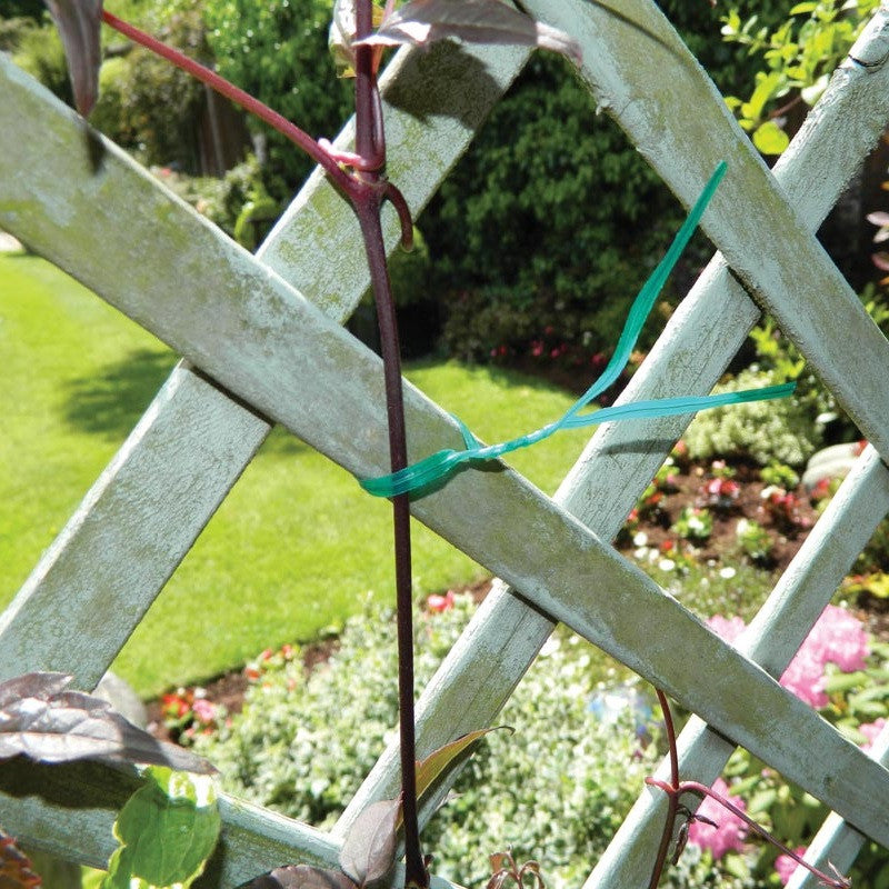 Garland Plant support Accessories