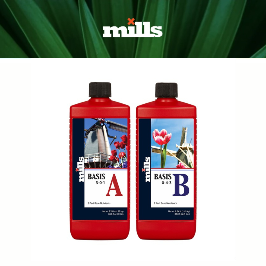 Mills Basis A/B  Soft Water