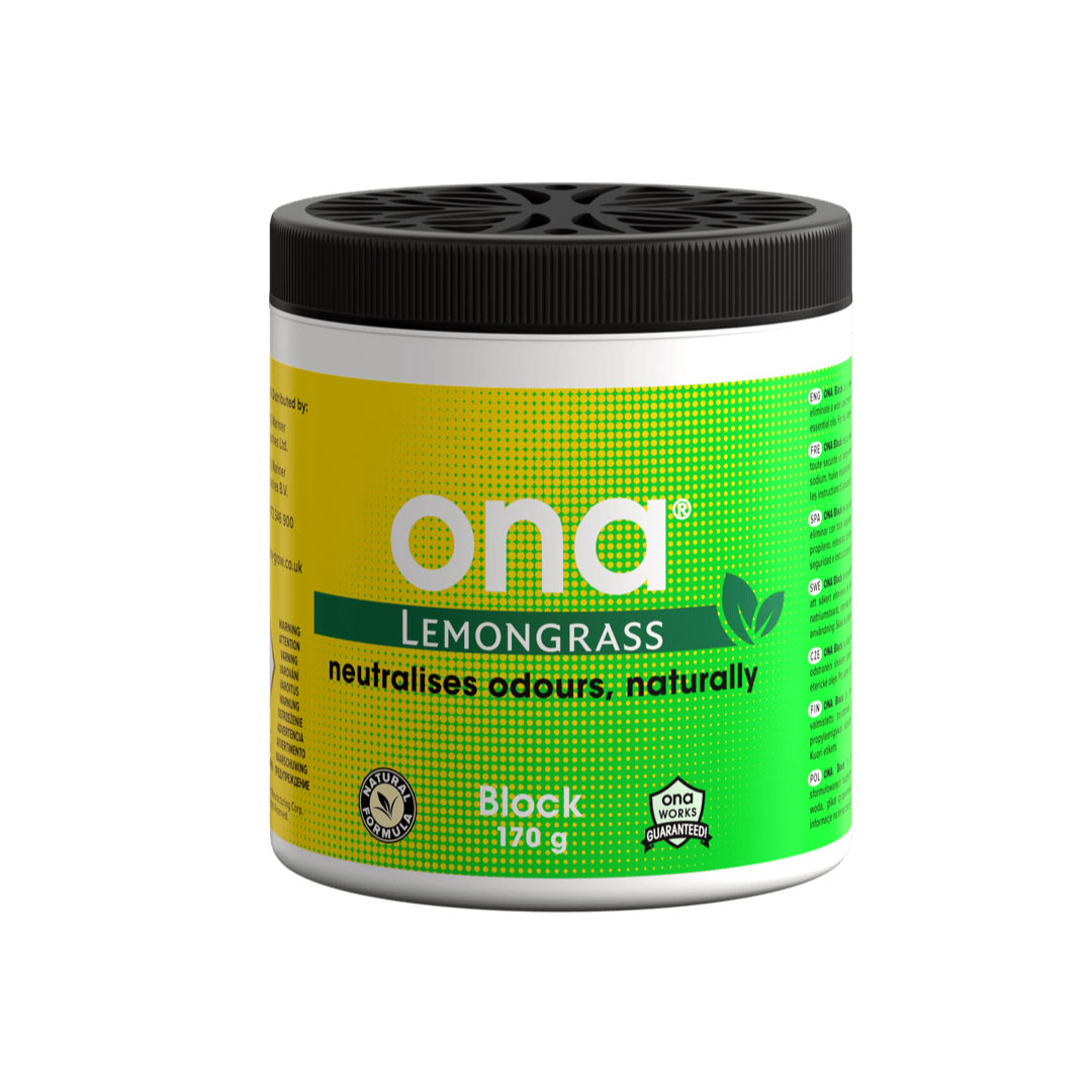 ONA Blocks