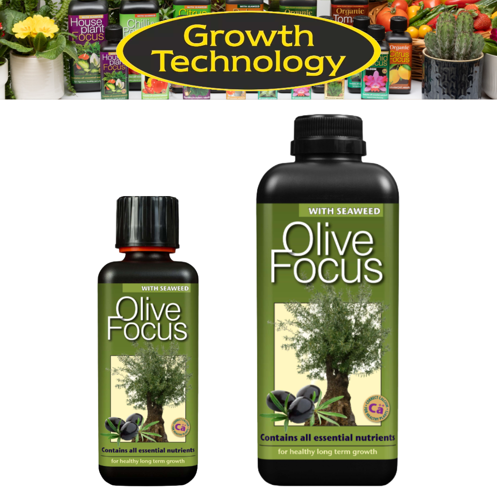 Growth Technology Olive Focus