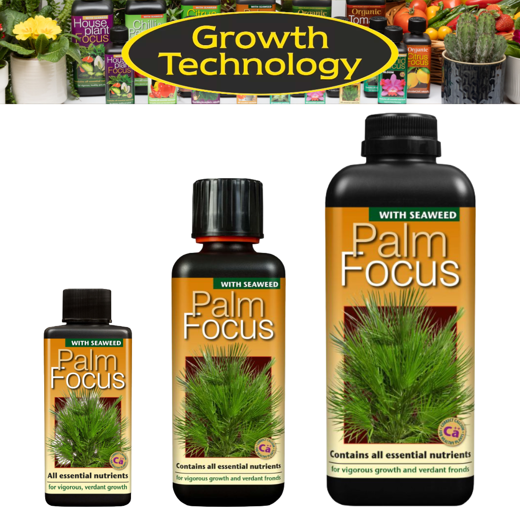 Growth Technology Palm Tree Focus