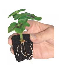 ROOT !T First Feed 125ml