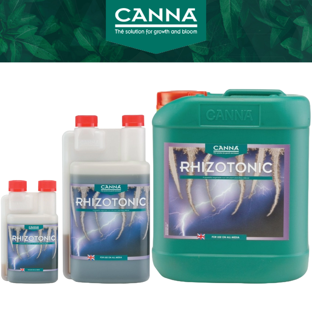 Canna Rhizotonic