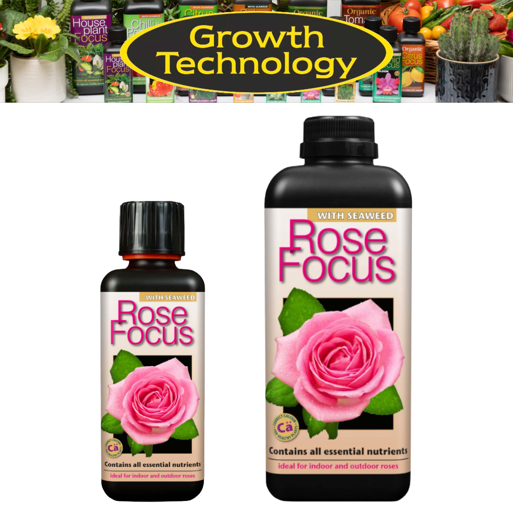 Growth Technology Rose Focus