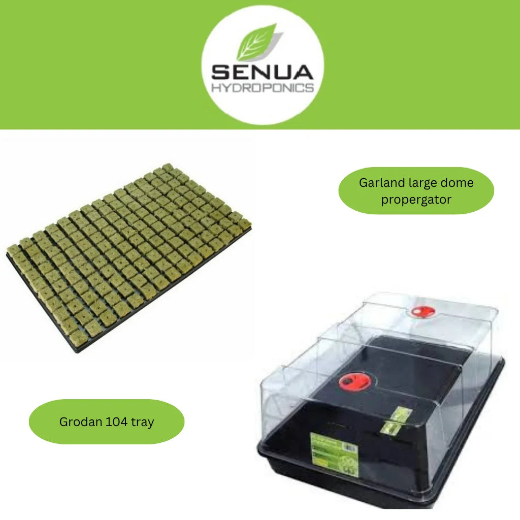 Senua Propagation Garland Kits