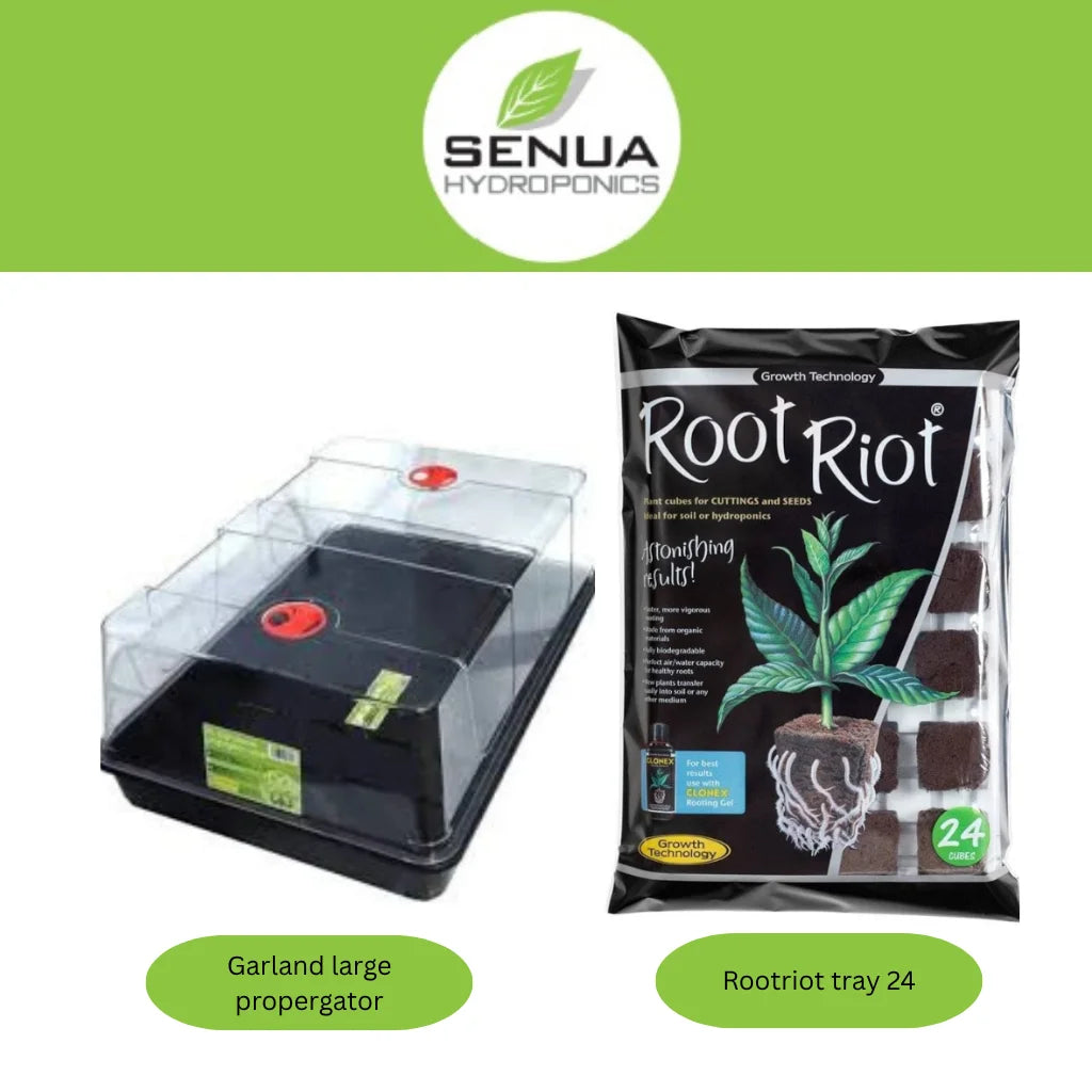 Senua Propagation Growth Technology Kits