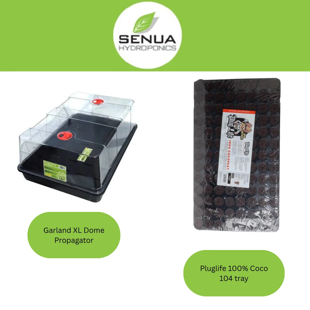 Senua Propagation Plug Life Kits