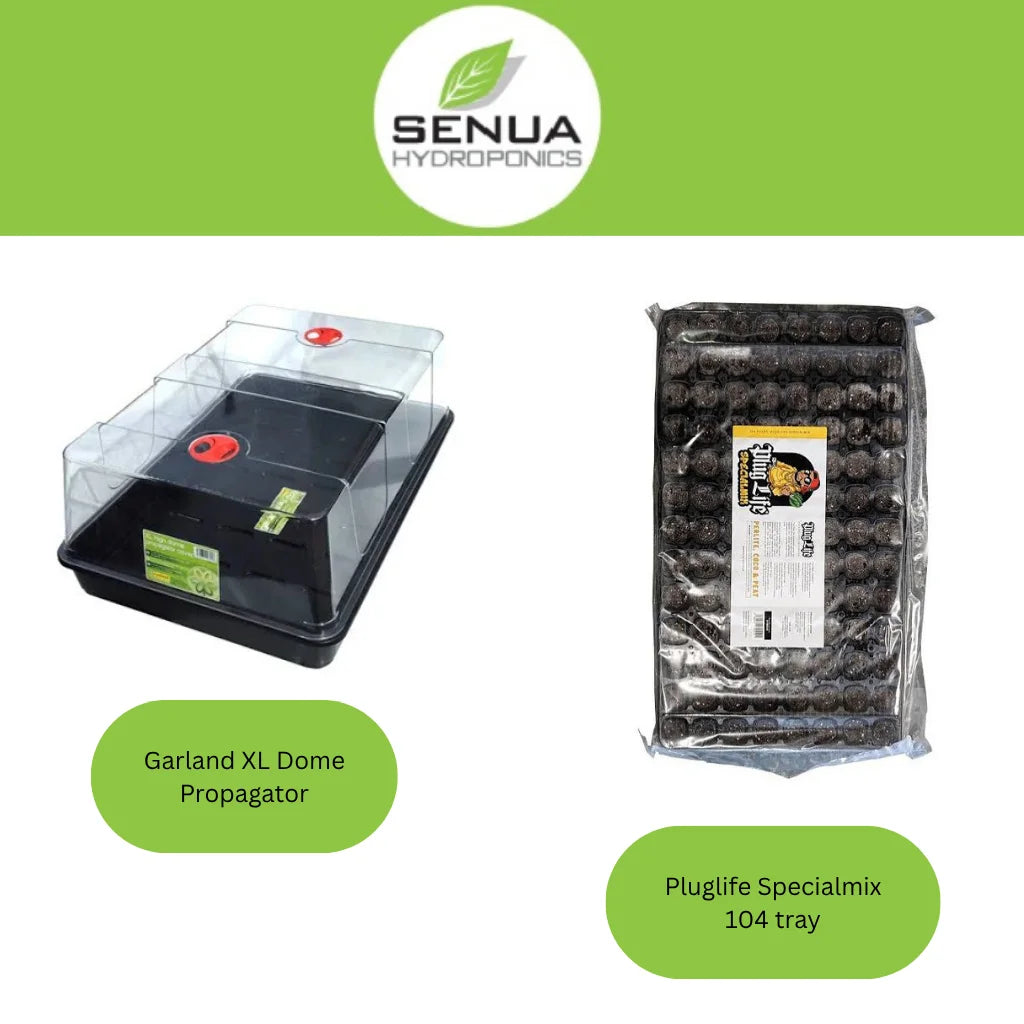 Senua Propagation Plug Life Kits
