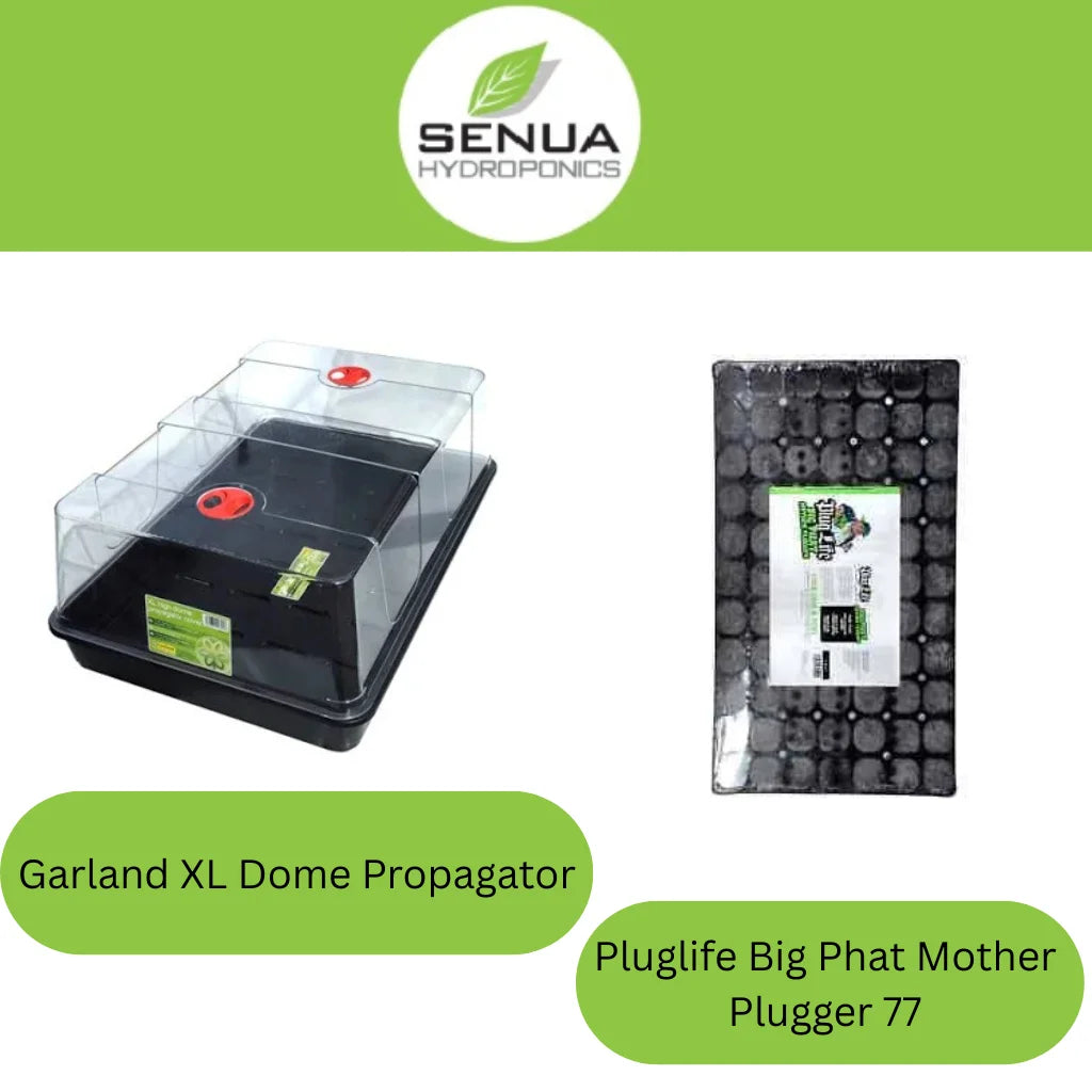 Senua Propagation Plug Life Kits