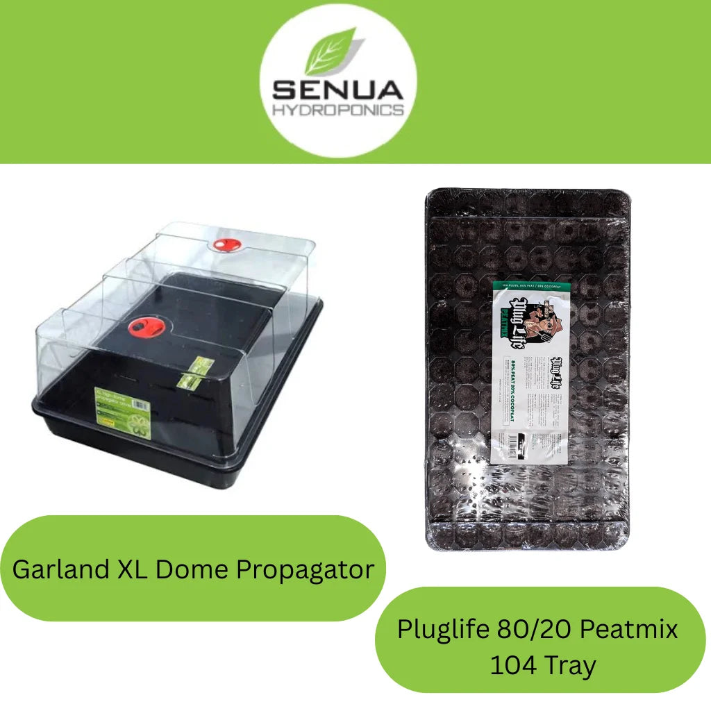 Senua Propagation Plug Life Kits