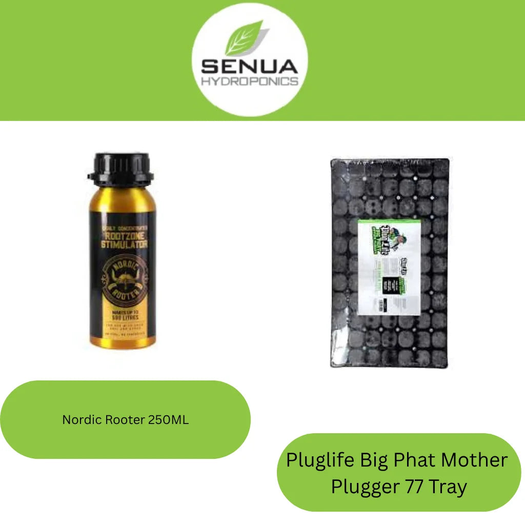 Senua Propagation Plug Life Kits