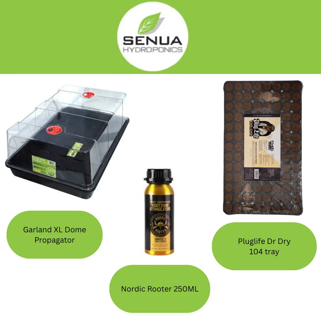 Senua Propagation Plug Life Kits