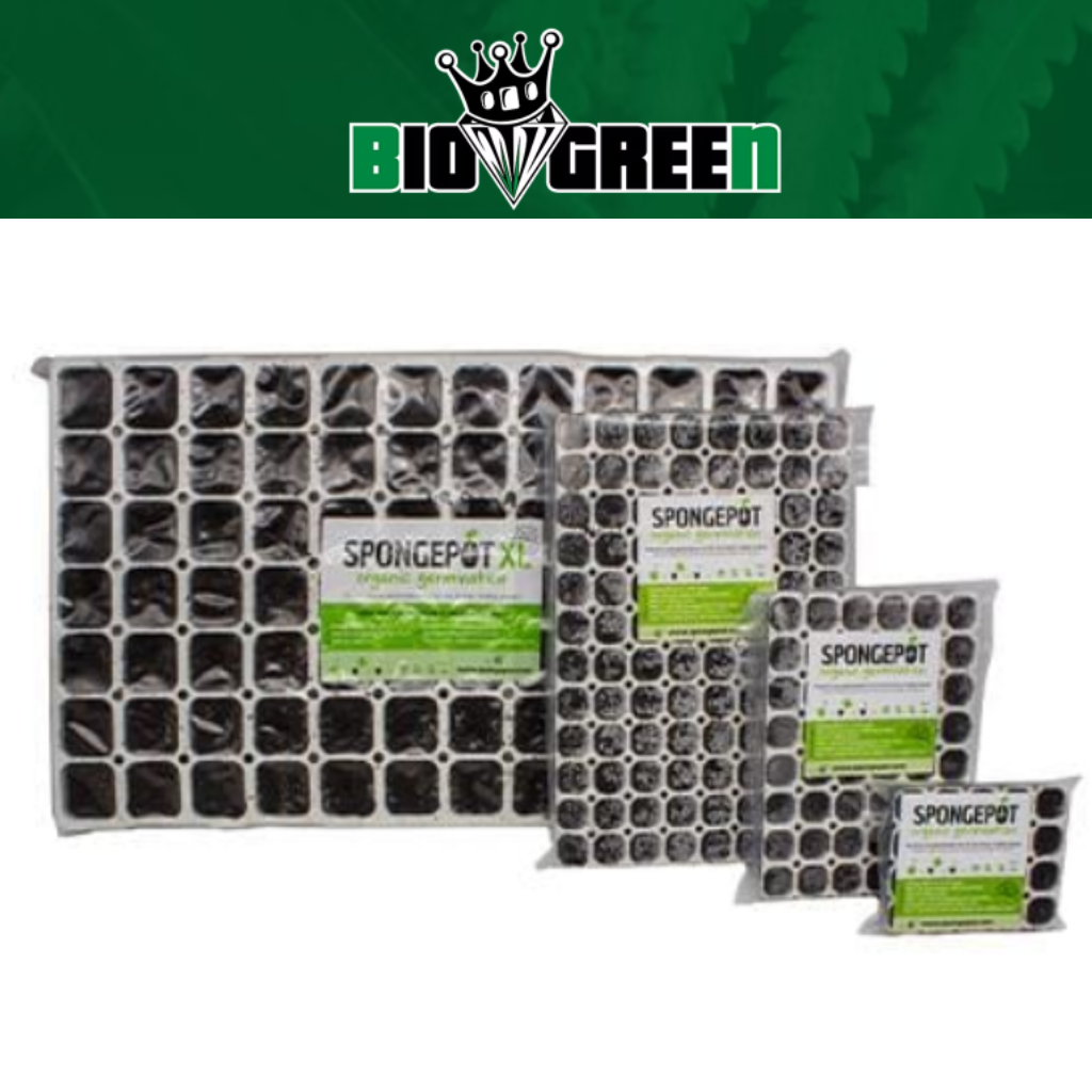 Spongepot Tray – Organic Seed Germination Solution