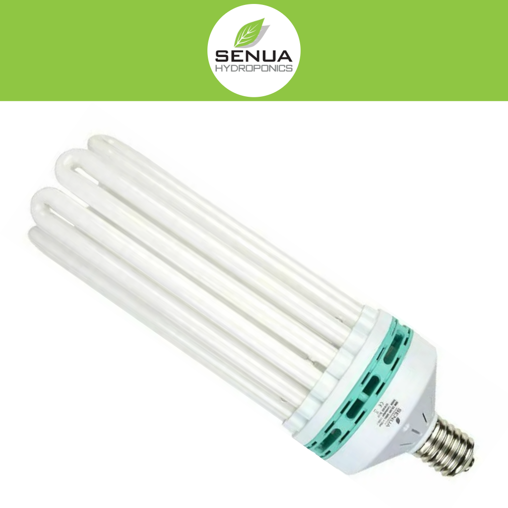 Senua E40 CFL Blue 6400K