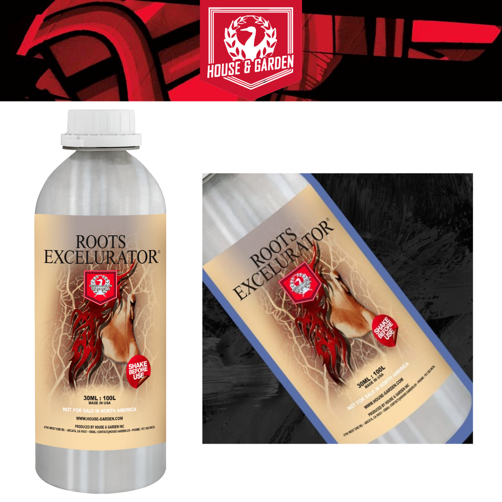 House And Garden Roots Excelurator Silver