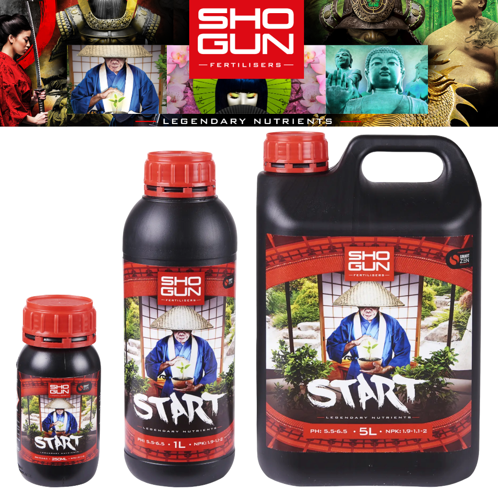 Shogun Start