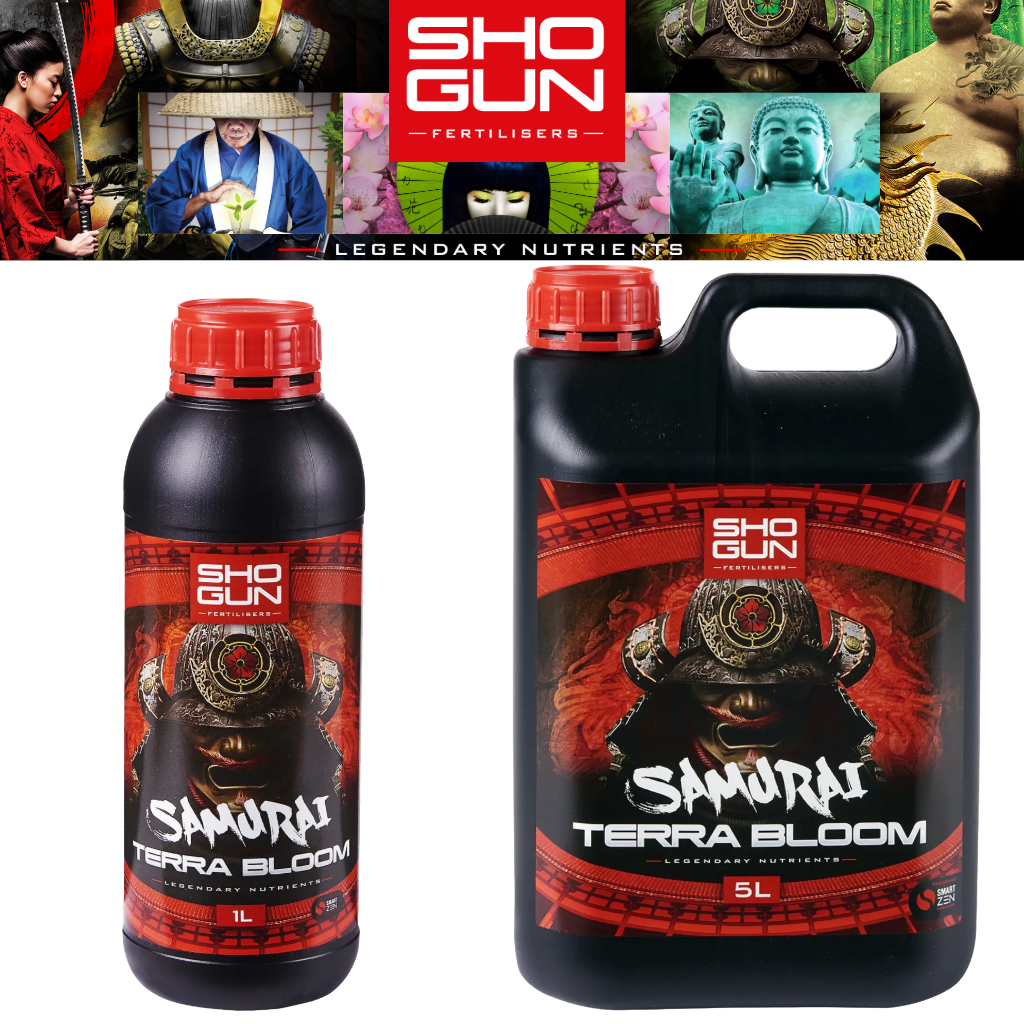 Shogun Terra Bloom