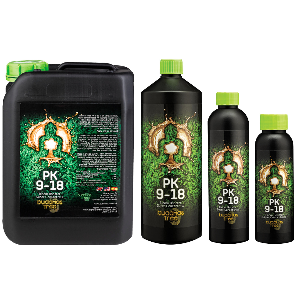 Buddhas Tree PK 9-18