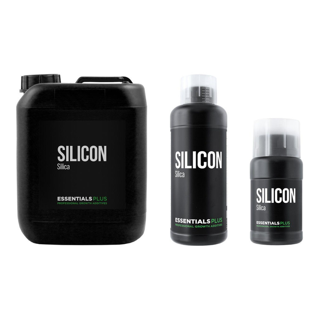 Essentials Plus Silicon
