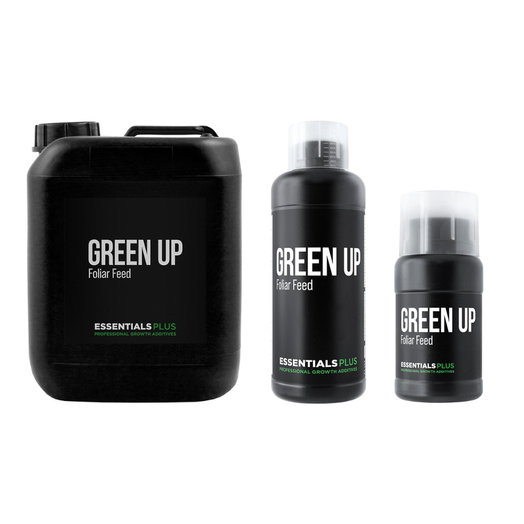 Essentials Plus Green Up