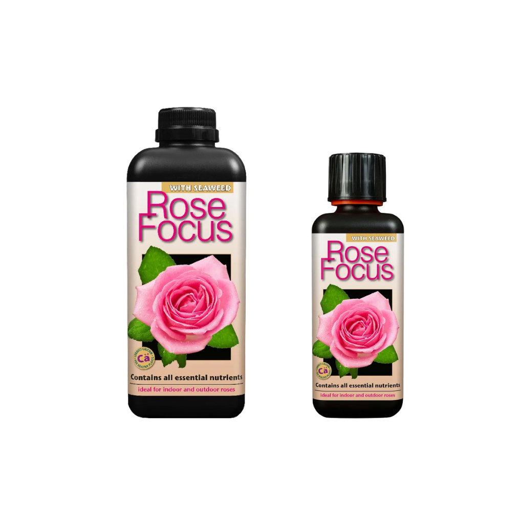 Growth Technology Rose Focus