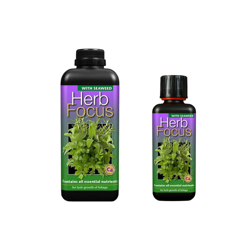 Growth Technology Herb Focus