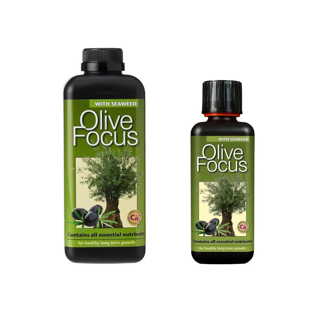 Growth Technology Olive Focus