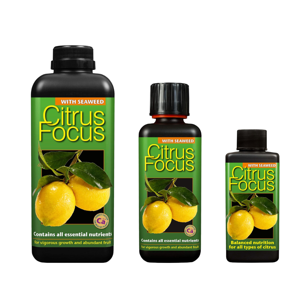 Growth Technology Citrus Focus