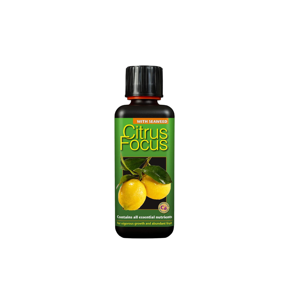 Growth Technology Citrus Focus 300ml