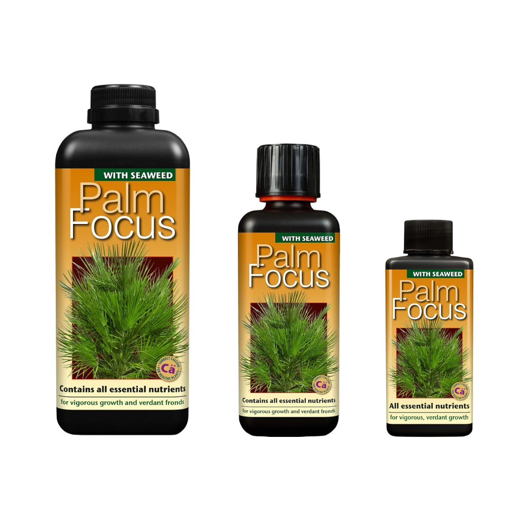 Growth Technology Palm Tree Focus