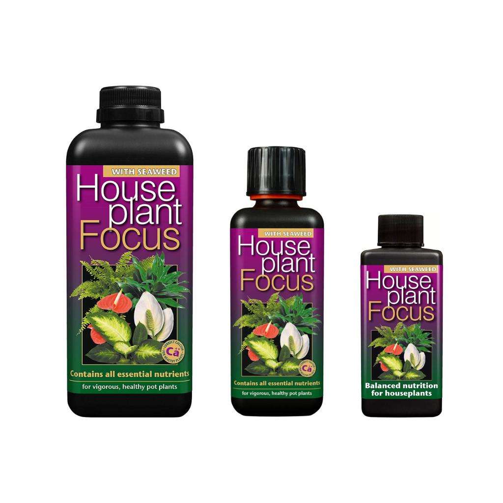 Growth Technology HousePlant focus