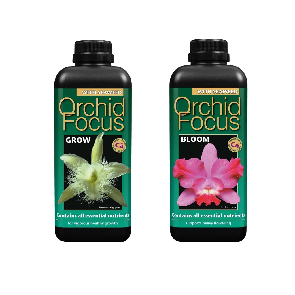 Growth Technology Orchid Focus Grow & Bloom