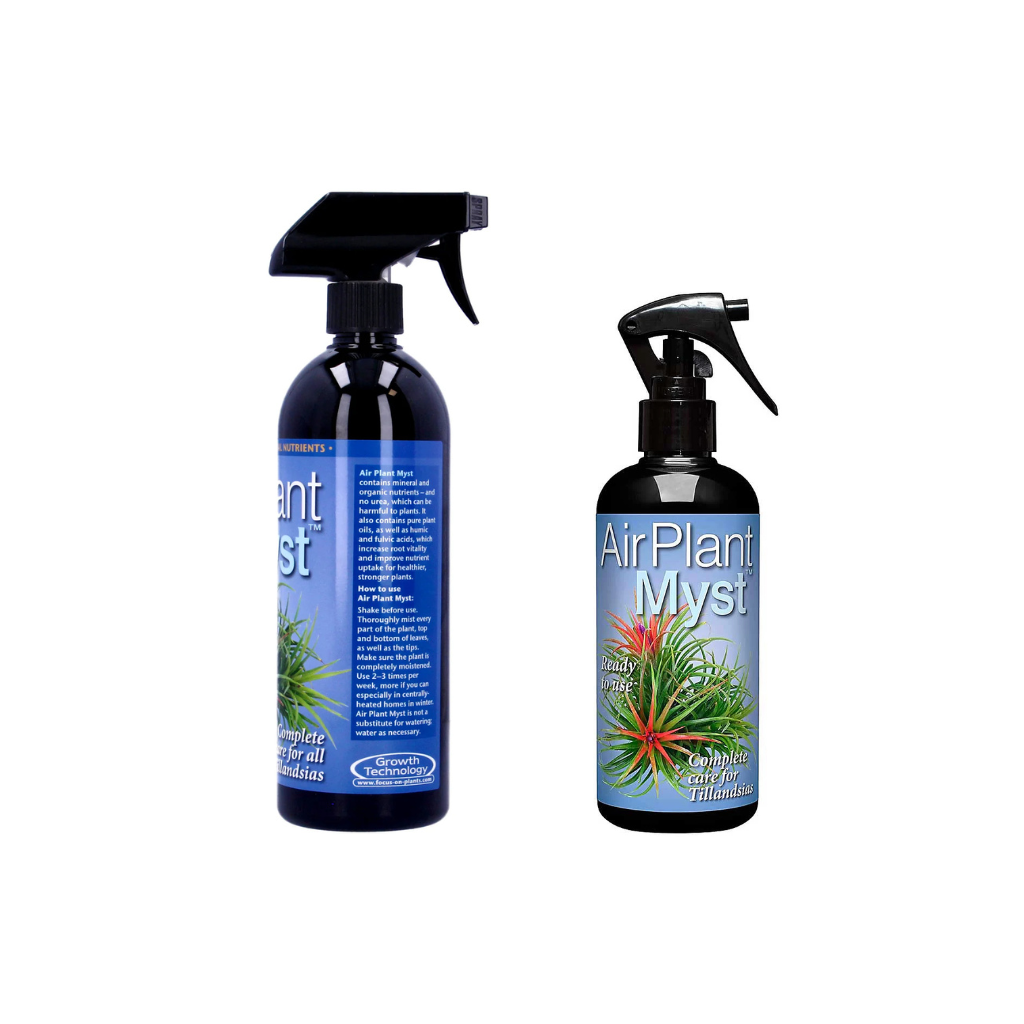 Growth Technology Air Plant Myst