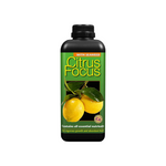 Growth Technology Citrus Focus 1L