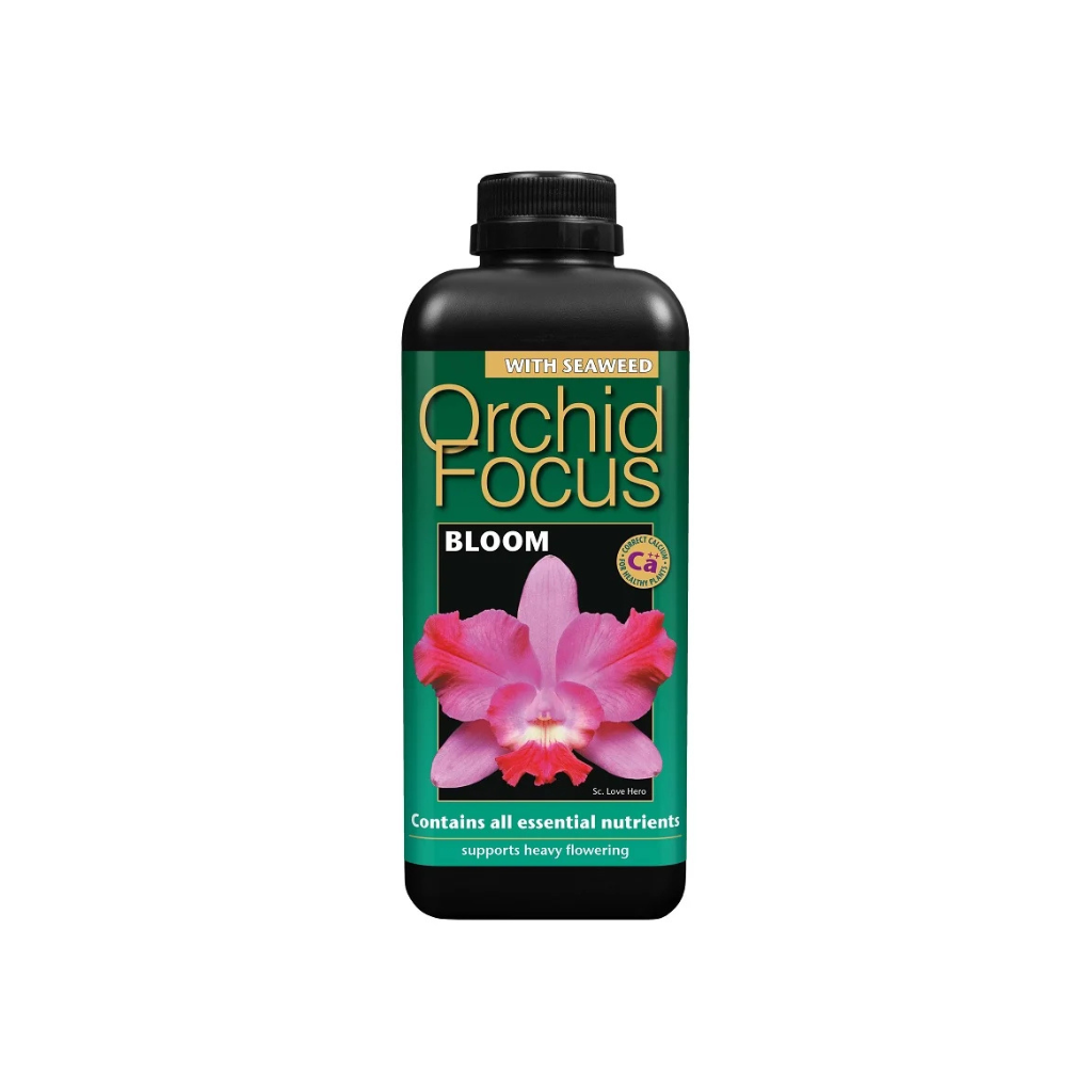 Growth Technology Orchid Focus Bloom 1L