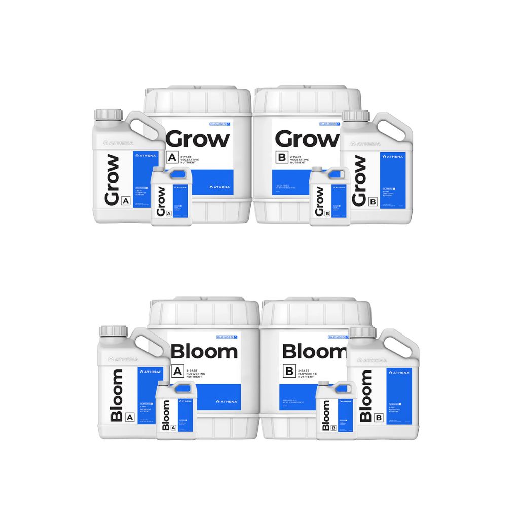 Athena Grow & Bloom A&B