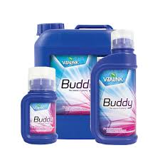 VitaLink Buddy