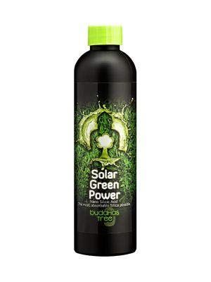 Buddhas Tree Solar Green Power