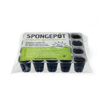 Spongepot Tray – Organic Seed Germination Solution