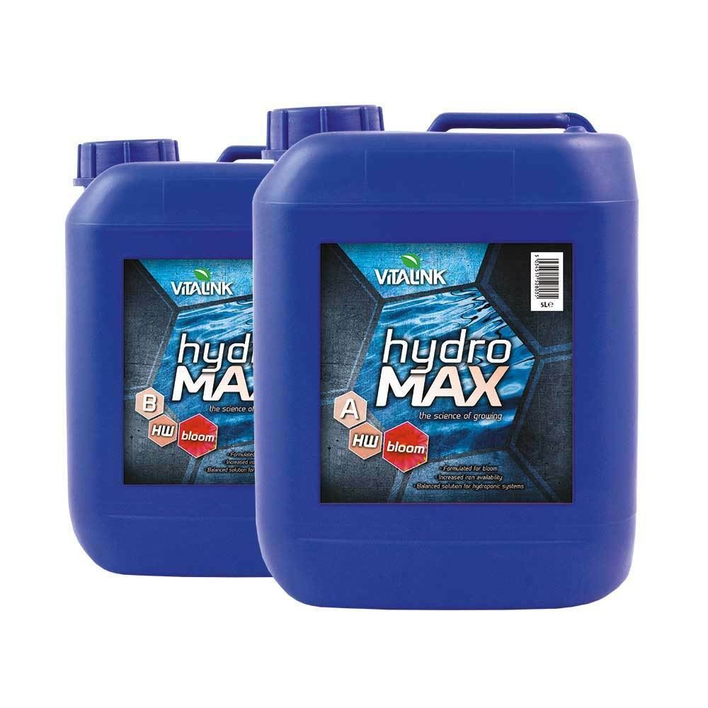VitaLink Hydro Max Bloom