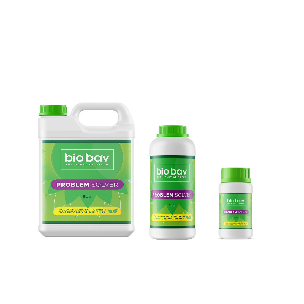 BioBav Problem Solver-main