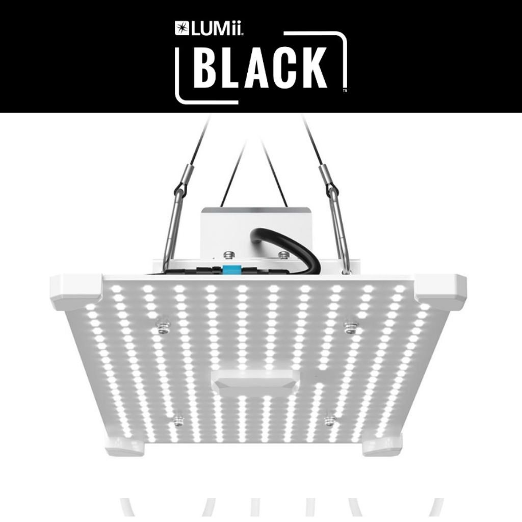 LUMii BLACK Blade 100w - 200w or 400w LED
