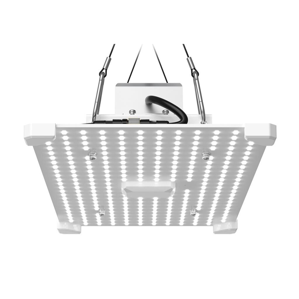 LUMii BLACK Blade 100w - 200w or 400w LED