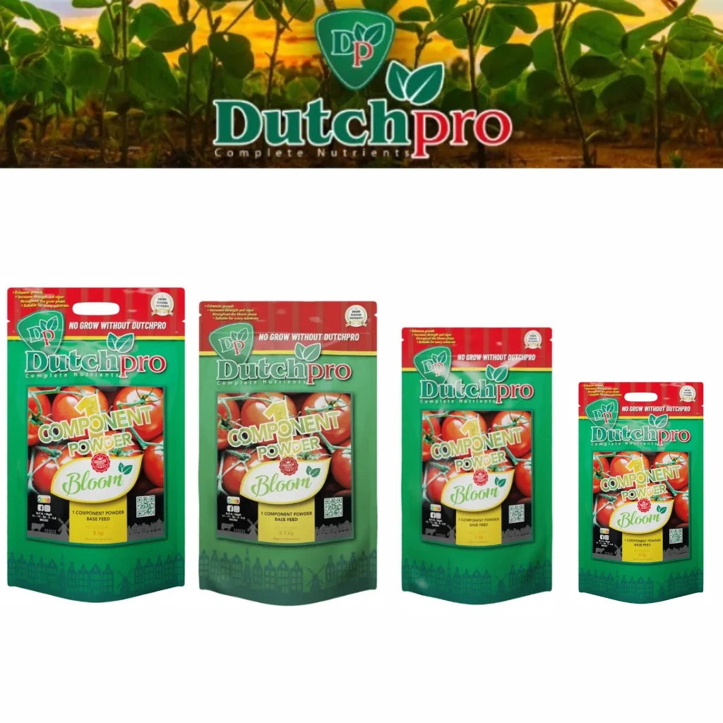 Dutch Pro 1 Component Bloom Powder Nutrient main