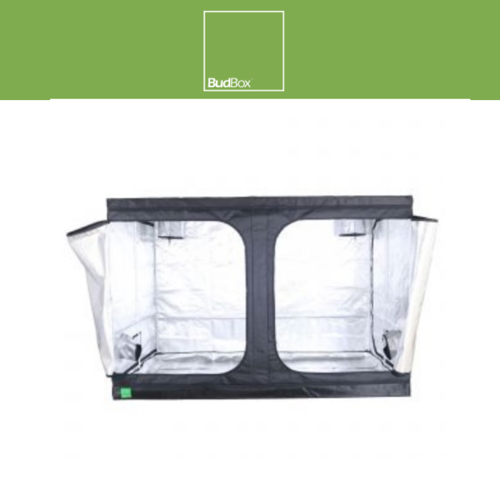 BudBox-Lite Tent