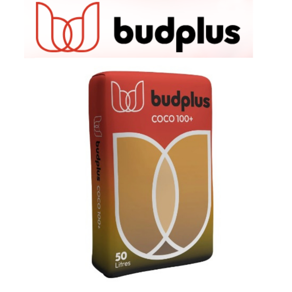 BudPlus Coco 100+