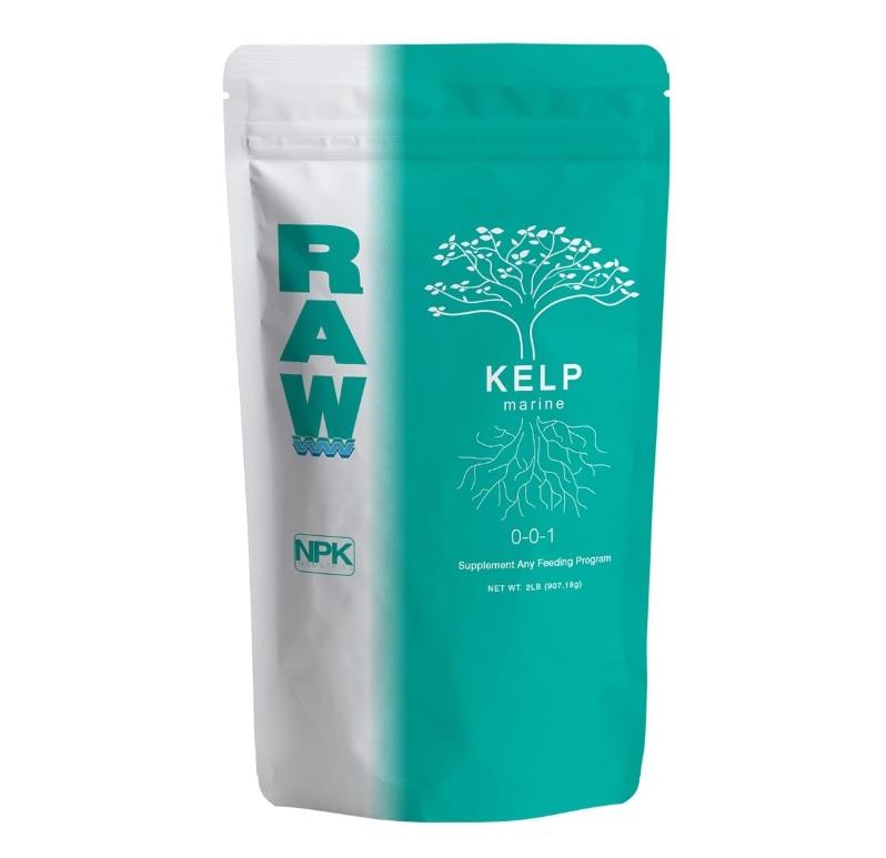 RAW Kelp