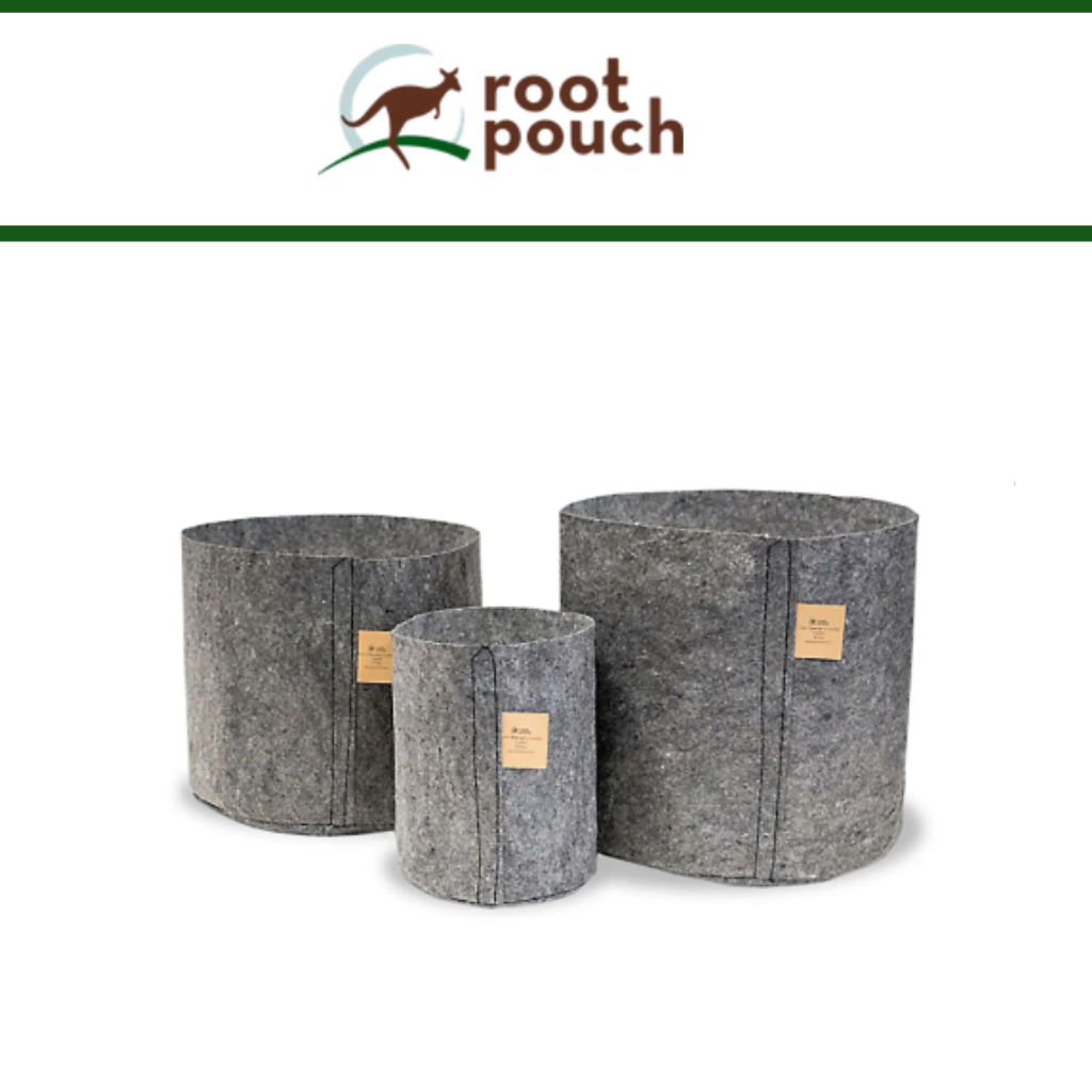 Root Pouch Charcoal Fabric Pots