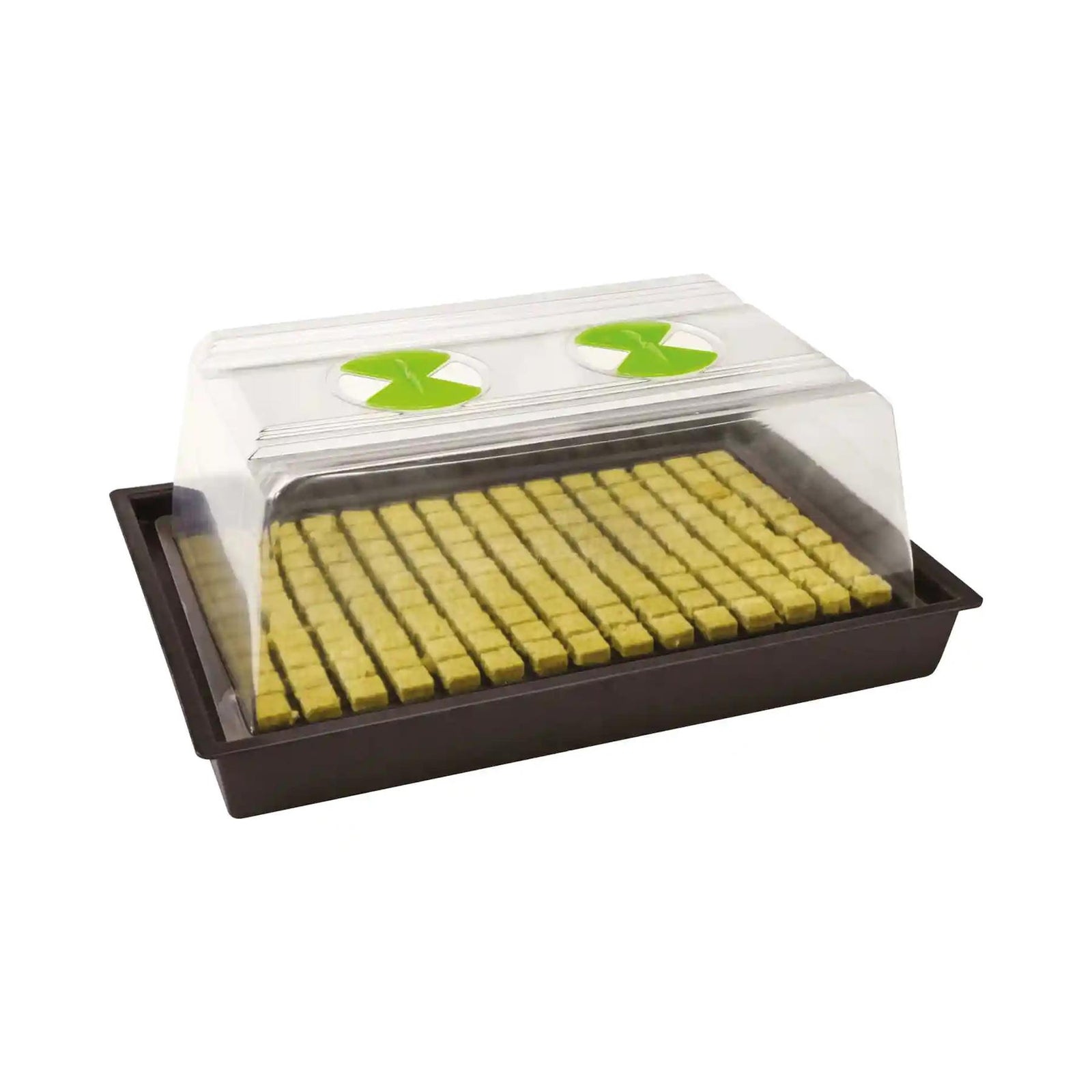X-Stream Heat Propagator